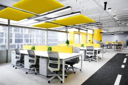 Продукция Akustiline Ampir Baffle (1,2x0,6м) в Москве